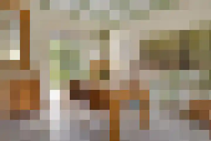 Wilhelminastraat 31 Oudelande thumbnail 12