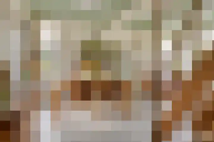 Wilhelminastraat 31 Oudelande thumbnail 13