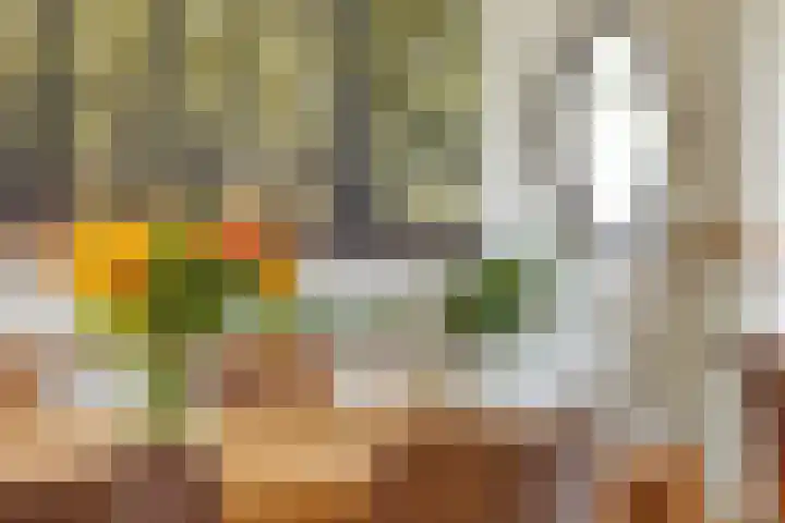 Wilhelminastraat 31 Oudelande thumbnail 14