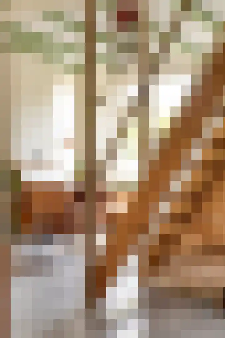 Wilhelminastraat 31 Oudelande thumbnail 16