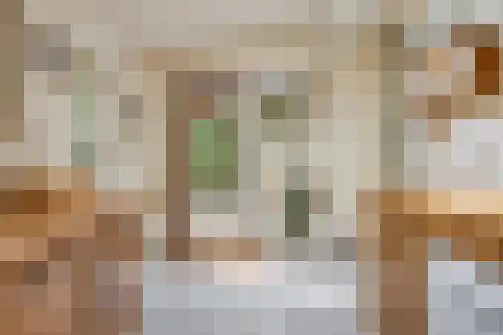 Wilhelminastraat 31 Oudelande thumbnail 19