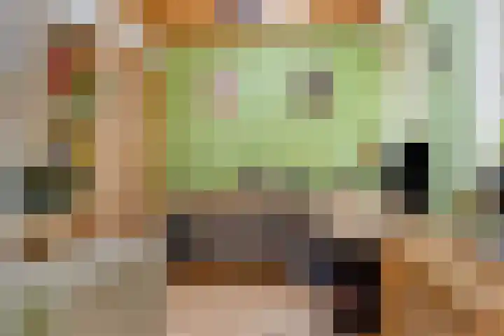 Wilhelminastraat 31 Oudelande thumbnail 21