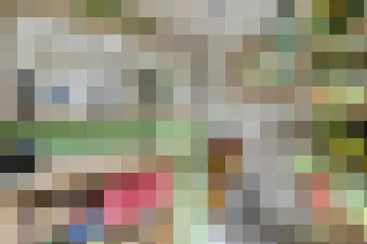 Wilhelminastraat 31 Oudelande thumbnail 22