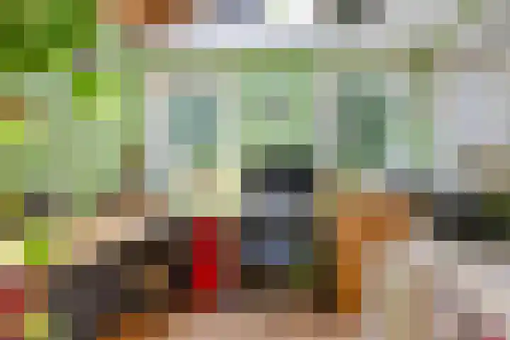 Wilhelminastraat 31 Oudelande thumbnail 23