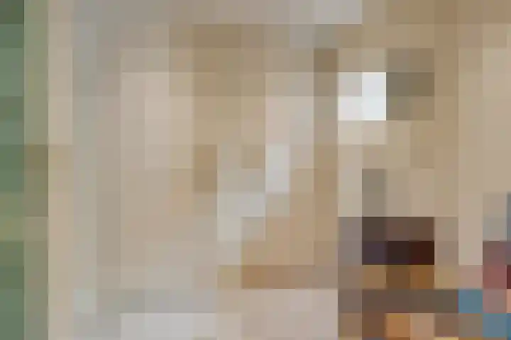 Wilhelminastraat 31 Oudelande thumbnail 24