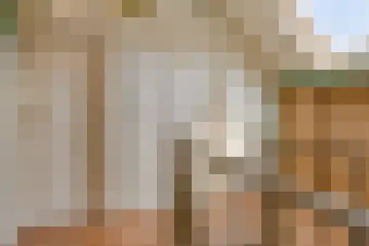 Wilhelminastraat 31 Oudelande thumbnail 25