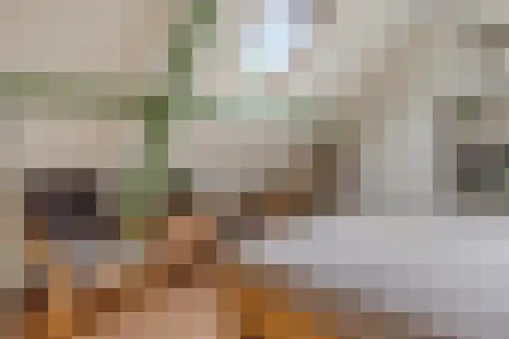 Wilhelminastraat 31 Oudelande thumbnail 26