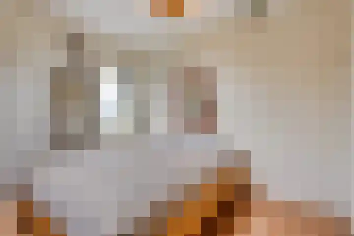 Wilhelminastraat 31 Oudelande thumbnail 27