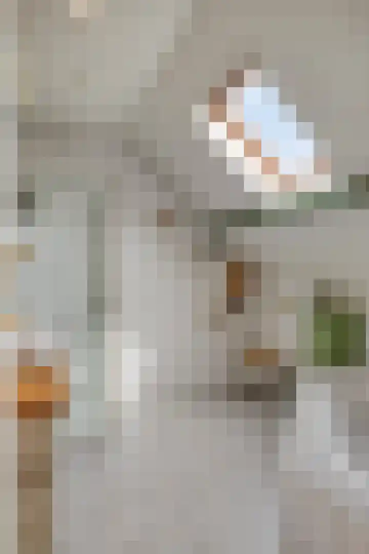 Wilhelminastraat 31 Oudelande thumbnail 28