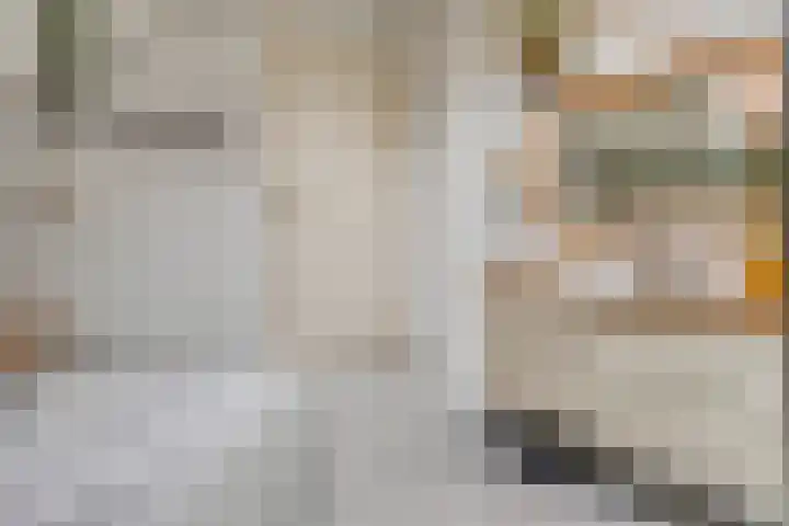 Wilhelminastraat 31 Oudelande thumbnail 30