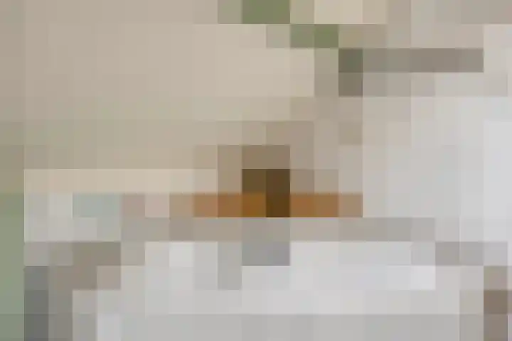 Wilhelminastraat 31 Oudelande thumbnail 31