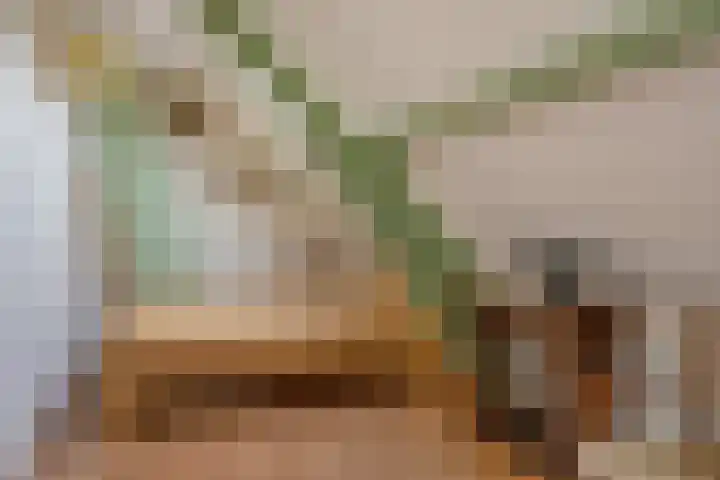 Wilhelminastraat 31 Oudelande thumbnail 32