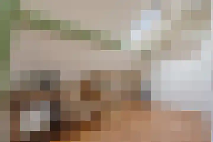 Wilhelminastraat 31 Oudelande thumbnail 33