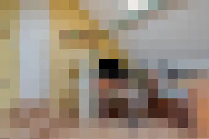 Wilhelminastraat 31 Oudelande thumbnail 34