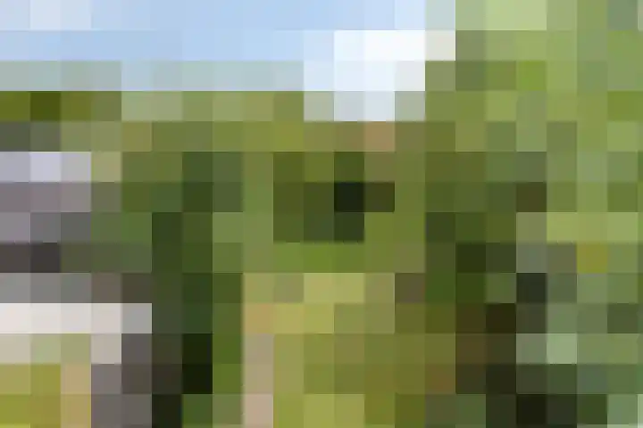 Wilhelminastraat 31 Oudelande thumbnail 35