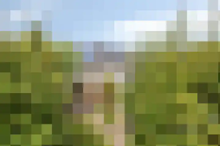 Wilhelminastraat 31 Oudelande thumbnail 36