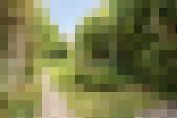 Wilhelminastraat 31 Oudelande thumbnail 37