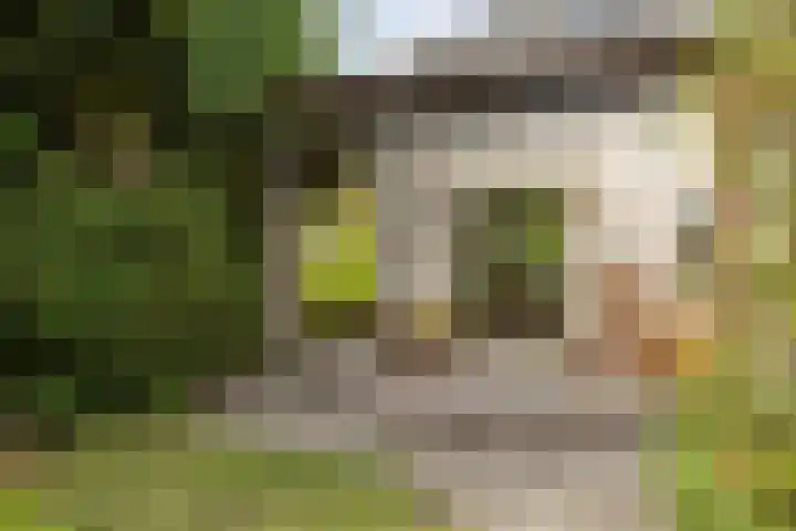 Wilhelminastraat 31 Oudelande thumbnail 38