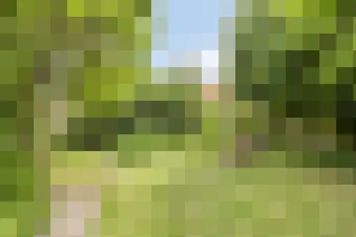 Wilhelminastraat 31 Oudelande thumbnail 39