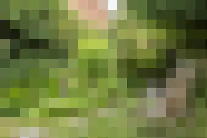 Wilhelminastraat 31 Oudelande thumbnail 40