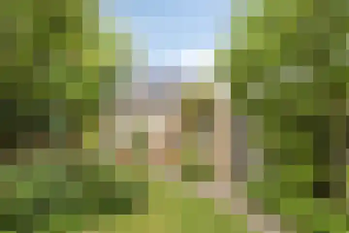 Wilhelminastraat 31 Oudelande thumbnail 41