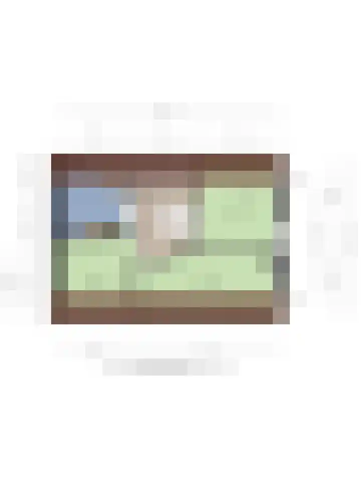 Wilhelminastraat 31 Oudelande thumbnail 43