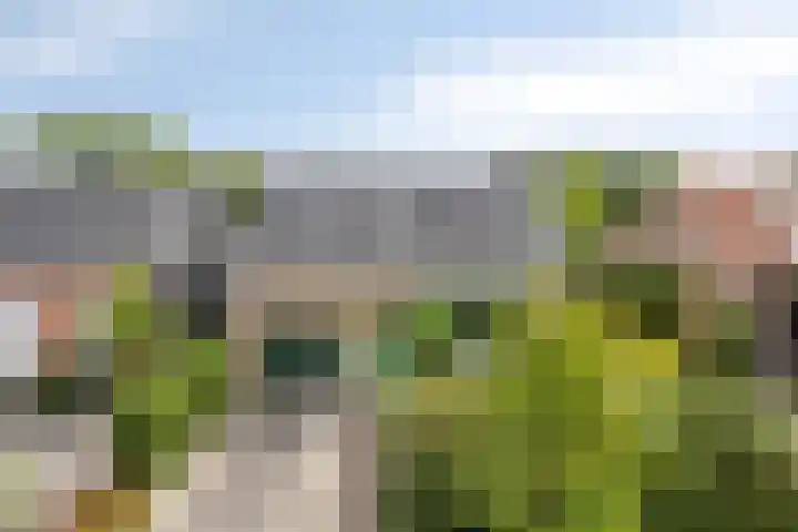 Wilhelminastraat 31 Oudelande thumbnail 6