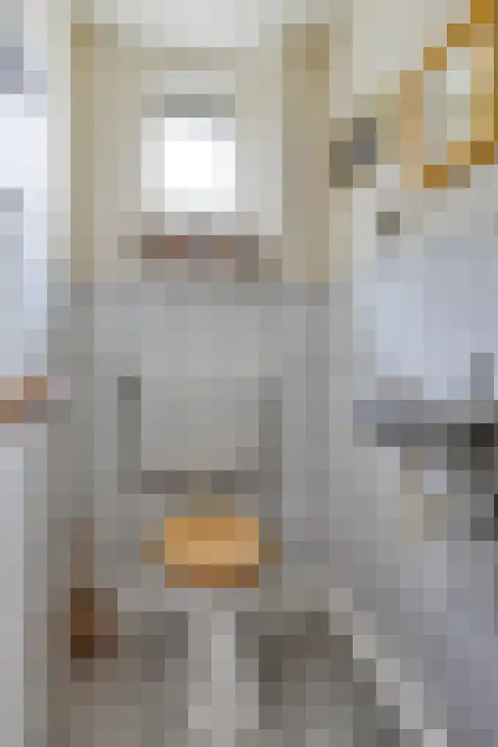 Wilhelminastraat 31 Oudelande thumbnail 8