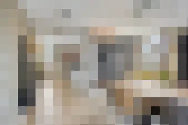 Wilhelminastraat 32 Huissen thumbnail 10