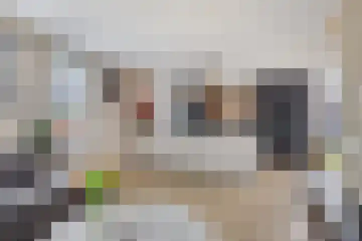 Wilhelminastraat 32 Huissen thumbnail 19