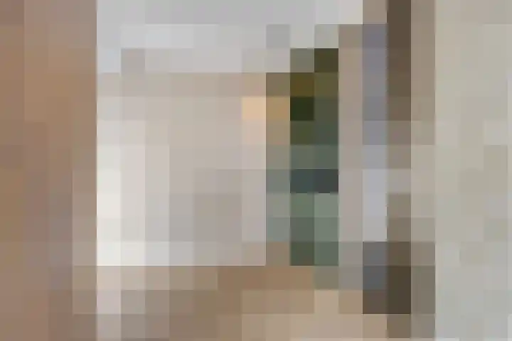 Wilhelminastraat 32 Huissen thumbnail 27