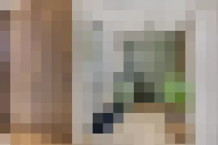 Wilhelminastraat 32 Huissen thumbnail 28