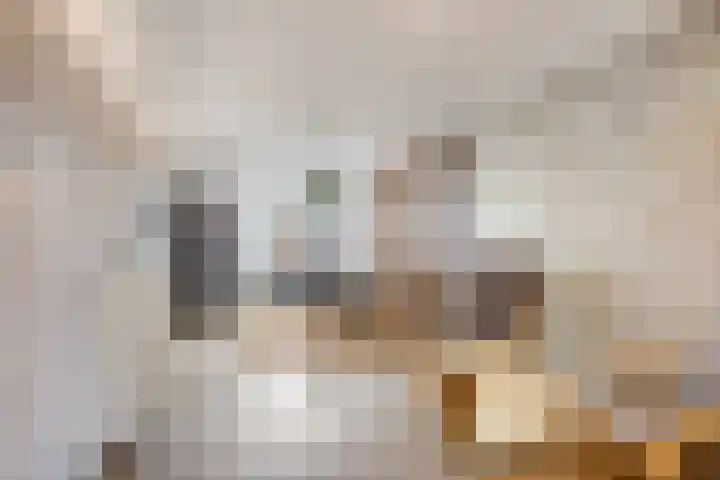 Wilhelminastraat 32 Huissen thumbnail 30