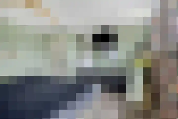 Wilhelminastraat 32 Huissen thumbnail 33