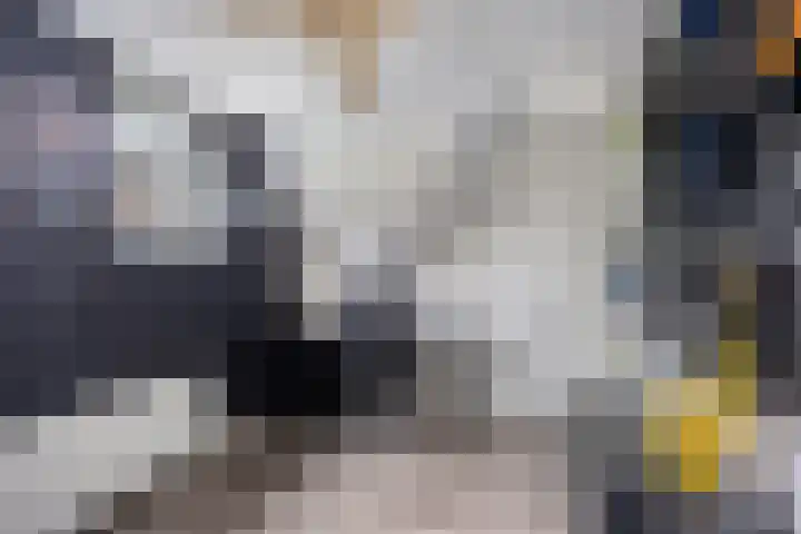 Wilhelminastraat 32 Huissen thumbnail 37
