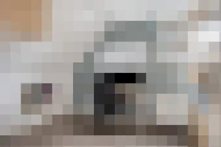 Wilhelminastraat 32 Huissen thumbnail 40