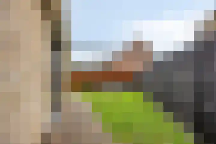Wilhelminastraat 32 Huissen thumbnail 48