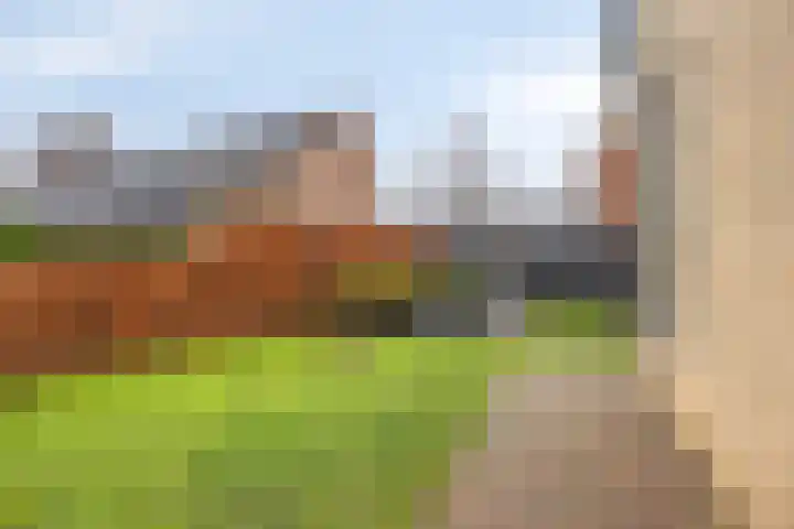 Wilhelminastraat 32 Huissen thumbnail 51