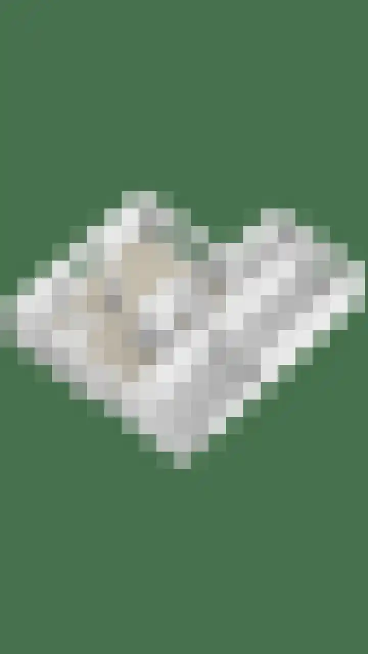 Wilhelminastraat 32 Huissen thumbnail 58