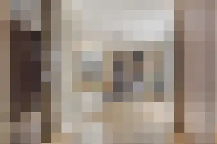 Wilhelminastraat 32 Huissen thumbnail 8