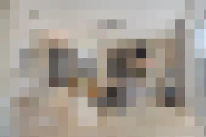 Wilhelminastraat 32 Huissen thumbnail 9