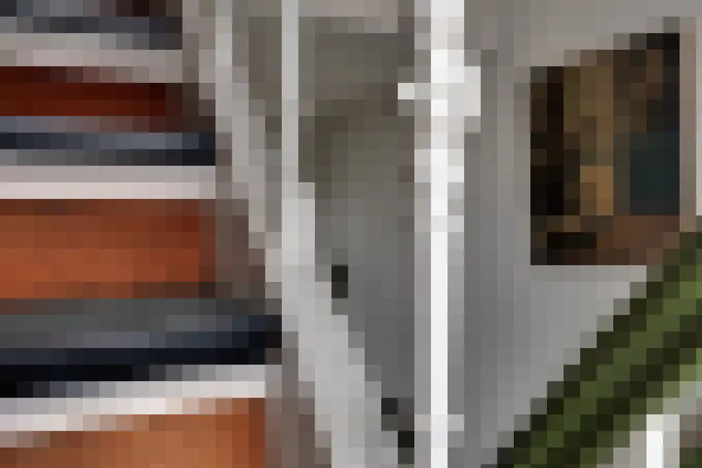 Wilhelminastraat 32 Winterswijk thumbnail 33