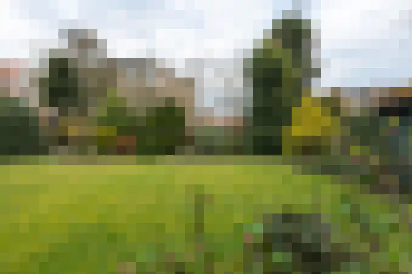 Wilhelminastraat 32 Winterswijk thumbnail 63