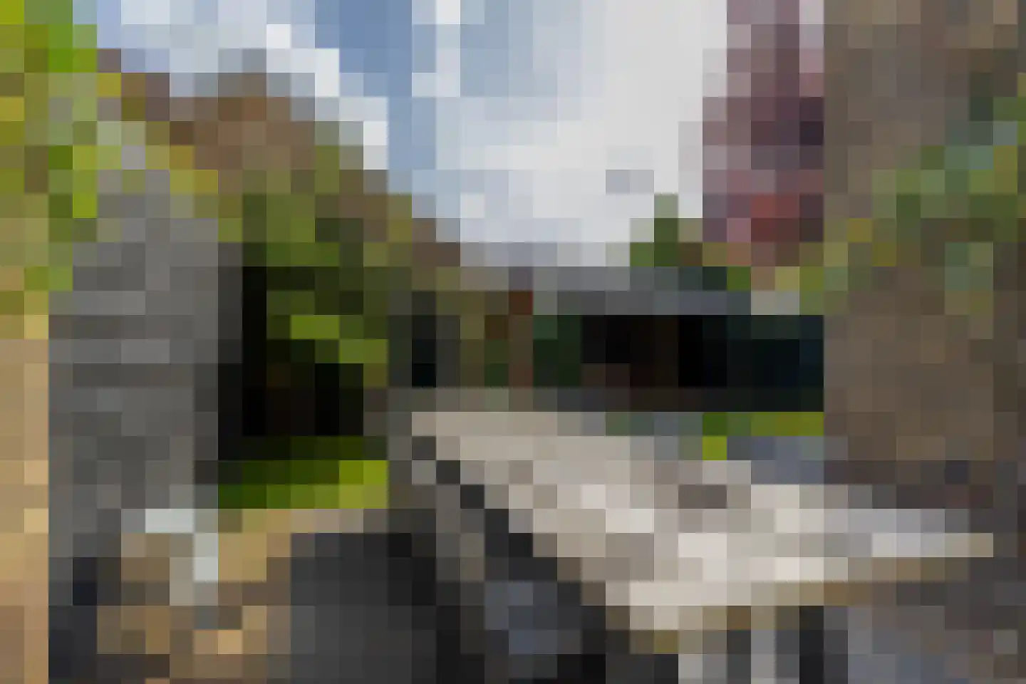 Wilhelminastraat 33 Barendrecht thumbnail 37