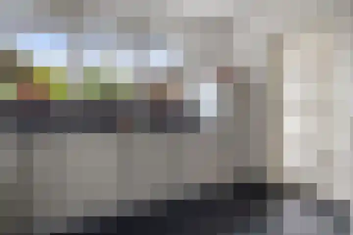 Wilhelminastraat 33 Vlijmen thumbnail 12