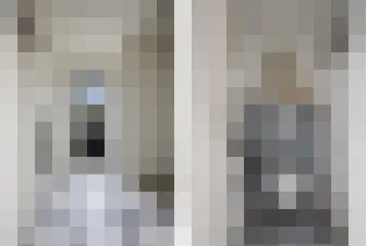 Wilhelminastraat 33 Vlijmen thumbnail 15