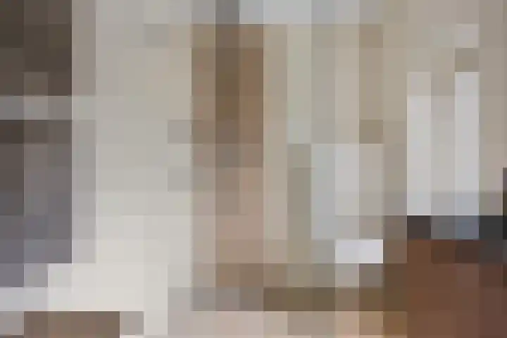 Wilhelminastraat 33 Vlijmen thumbnail 18