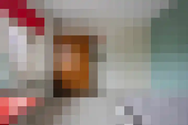 Wilhelminastraat 33 Vlijmen thumbnail 21