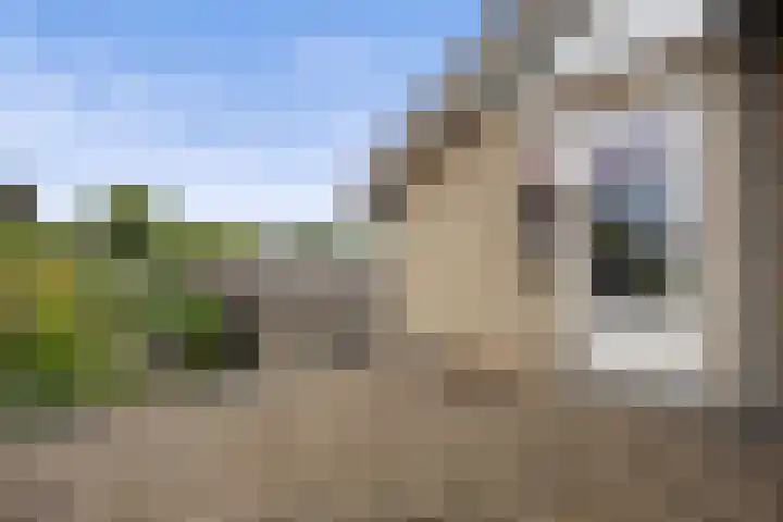 Wilhelminastraat 33 Vlijmen thumbnail 24