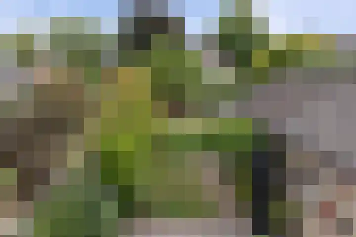 Wilhelminastraat 33 Vlijmen thumbnail 25
